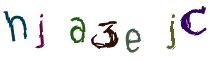 Beeld-CAPTCHA