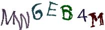 Beeld-CAPTCHA