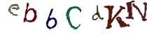 Beeld-CAPTCHA
