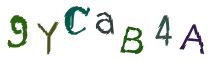 Beeld-CAPTCHA