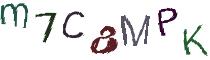 Beeld-CAPTCHA