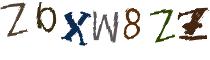 Beeld-CAPTCHA