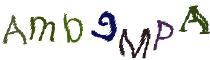 Beeld-CAPTCHA