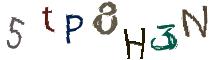 Beeld-CAPTCHA