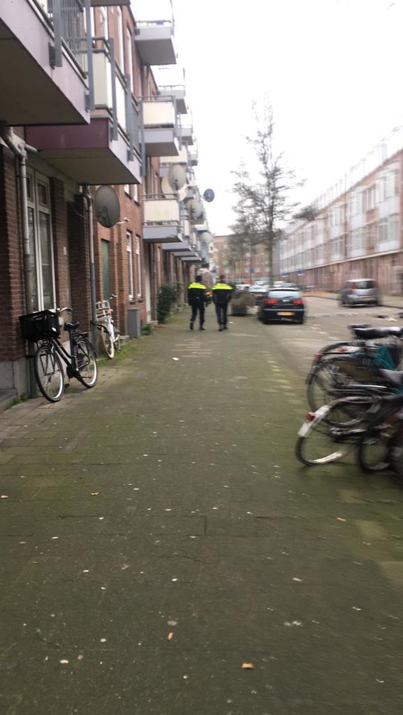Police surveilling Tweebostraat