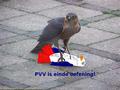 pvv einde oefening!